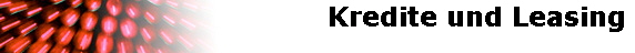 Kredite und Leasing